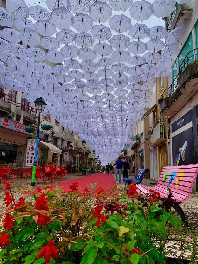 Terreno Das Mimosas Apartman Aveiro Kültér fotó